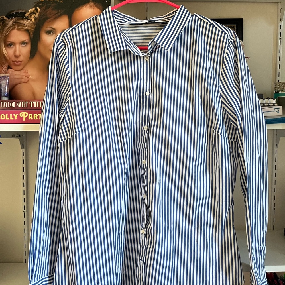 NWT Zara Blue and White Striped Button-Down Shirt